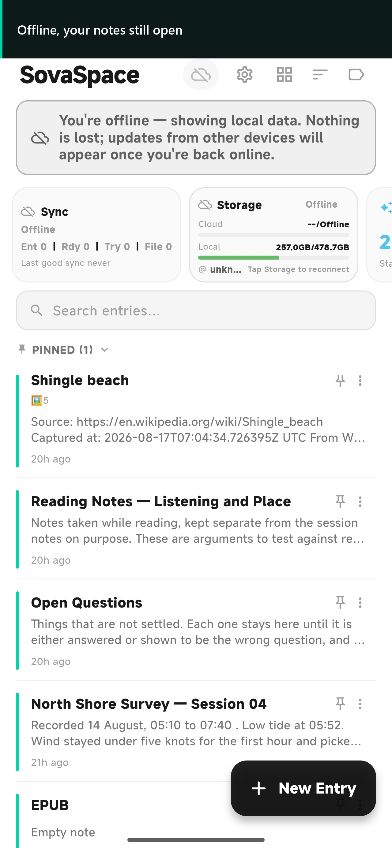 SovaSpace Android Standard Space offline, showing locally available Entries and offline storage status.