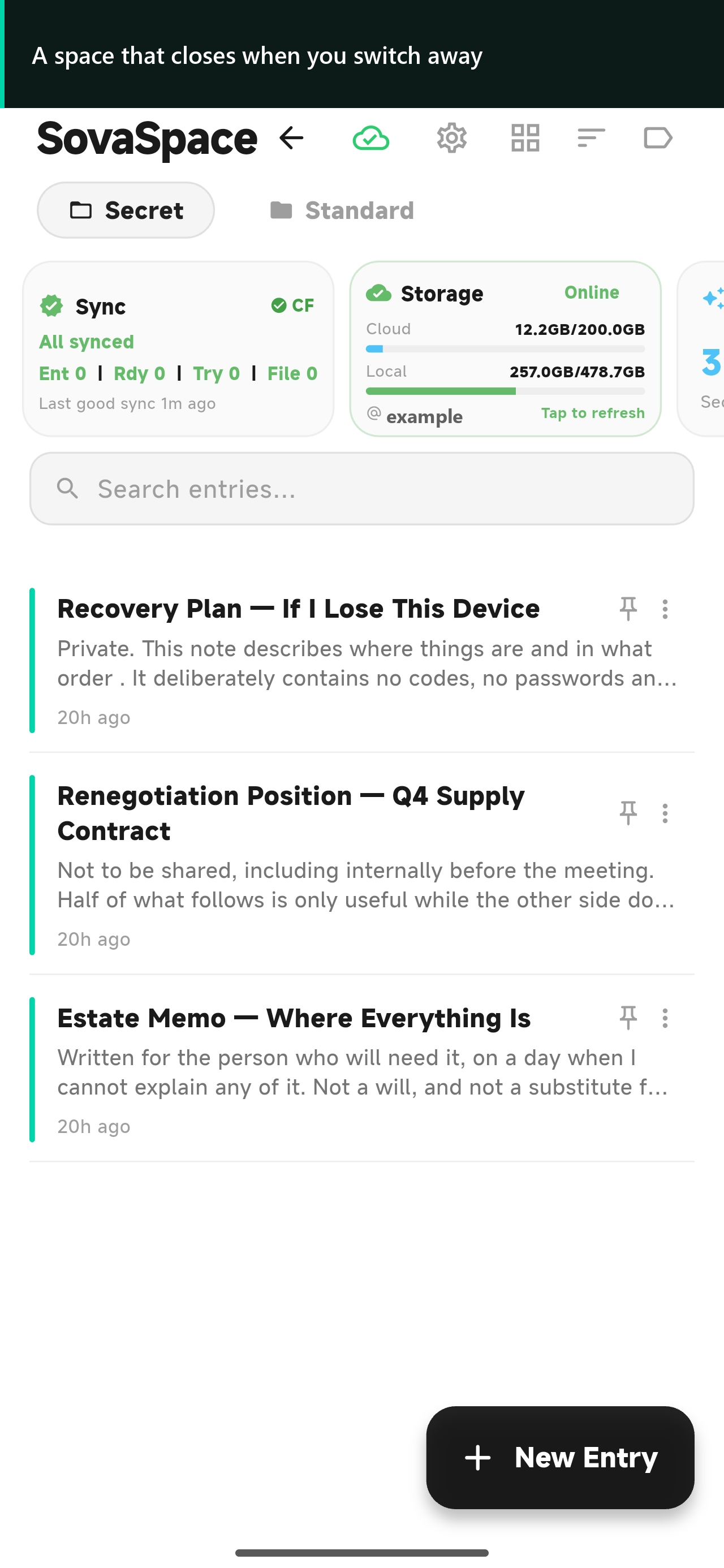 SovaSpace Android showing a Secret Space with its own Entry list and a return path to Standard Space.
