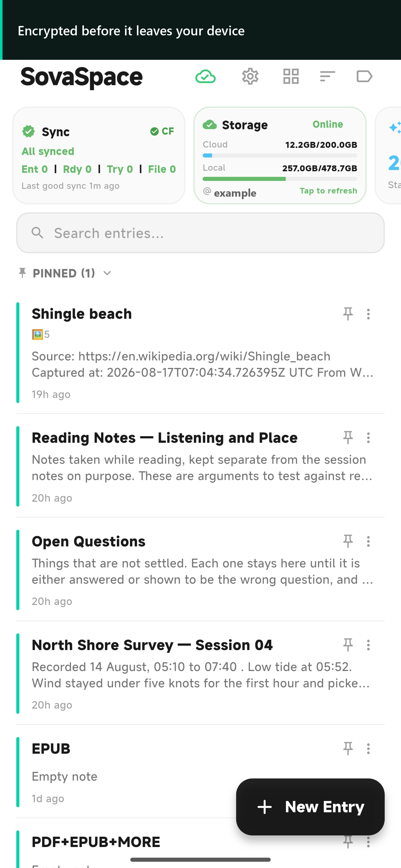 SovaSpace on Android showing Standard Space, sync status, Google Drive storage and an Entry list.