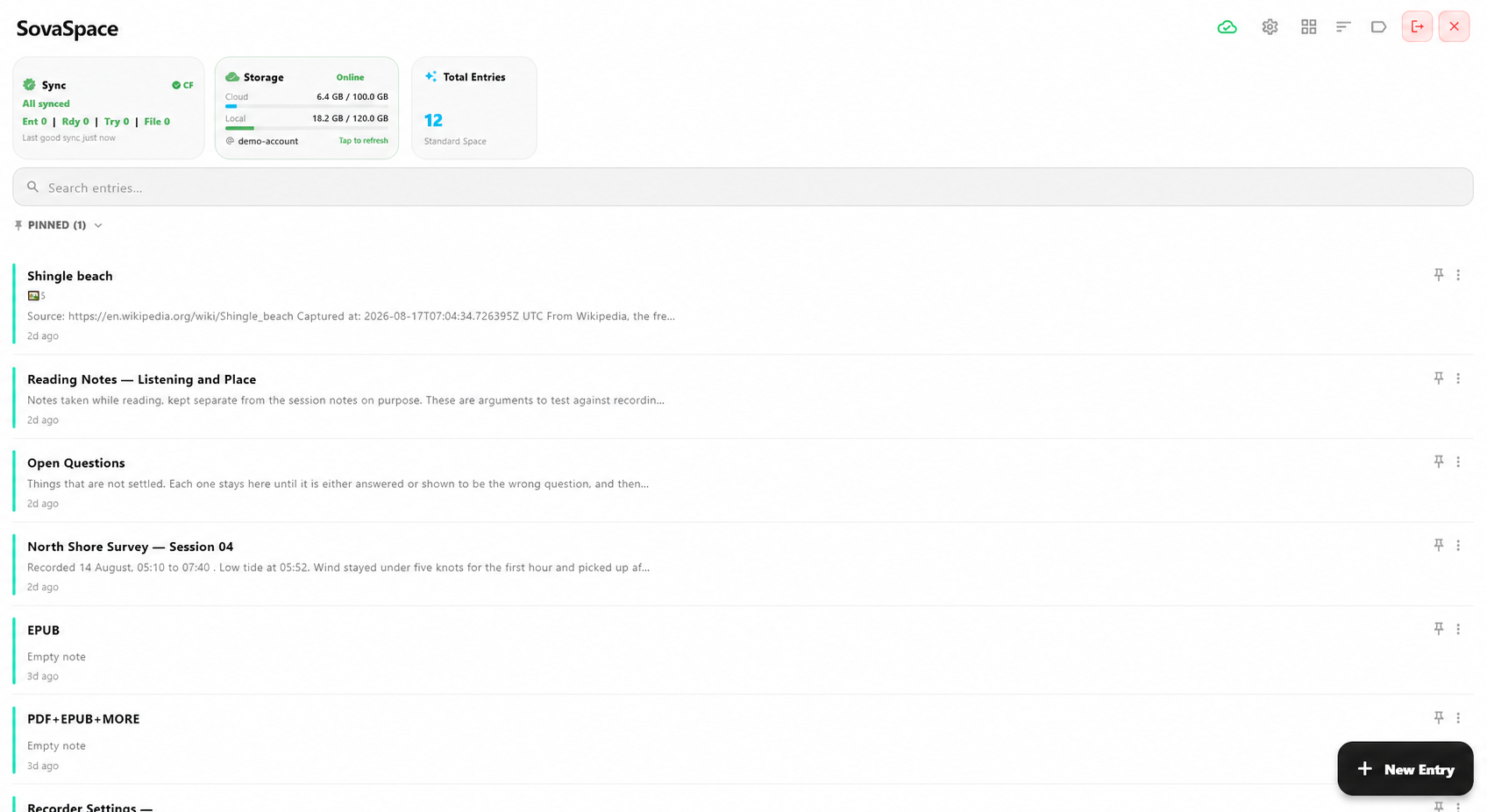 SovaSpace Standard Space on Windows with synchronized storage status, a sanitized demonstration account and a list of Entries.